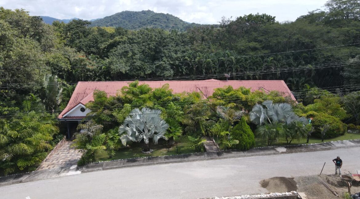 39f82ab3-57d3-4482-acf1-ed33783f214d